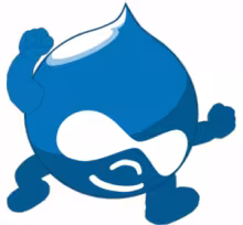 Drupal – Campi condizionali